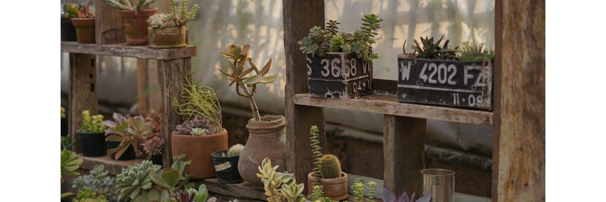 Kreative Deko-Ideen für Ihren Garten: Tipps und Inspirationen - Kreative Deko-Ideen für Ihren Garten: Inspiration und Tipps