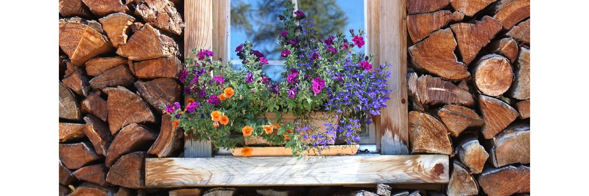 21 Fensterbank Deko Ideen: Kreative Inspirationen für Innen und Außen - 21 Fensterbank Deko Ideen – Kreative Gestaltung