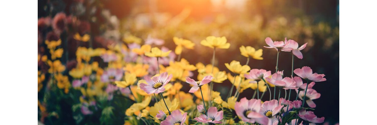 Willkommen im Frühling: Inspirierende Raum- und Gartendekoration von Rewu.eu - Frühlingszauber mit Rewu.eu: Dekor für Garten &amp; Zuhause