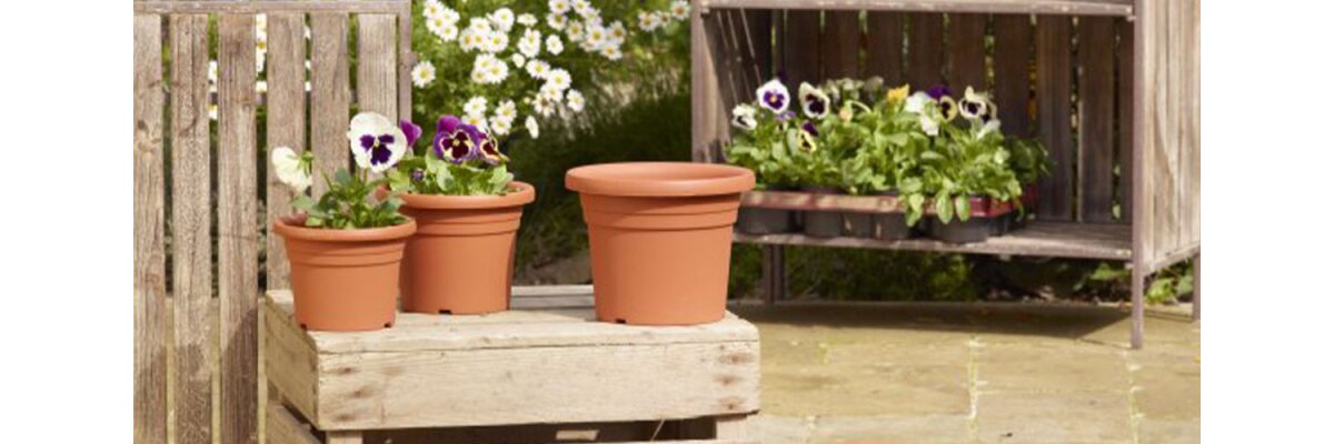 Perfekte Pflanztöpfe für Ihren Garten: Entdecken Sie die neuen frost- und UV-beständigen Blumentöpfe bei REWU.eu - Entdecken Sie die neuen frostsicheren Pflanztöpfe und Untersetzer bei REWU.eu