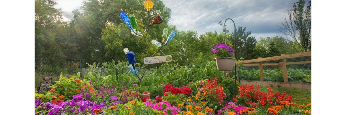 Die Top Gartentrends 2024: Ideen für einen nachhaltigen und vielseitigen Traumgarten - Gartentrends 2024: Inspirationen für Ihren Garten