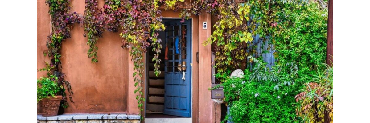 Rankpflanzen: Die perfekte Begrünung für Hauswände, Zäune und Sichtschutz - Ideale Rankpflanzen für Wände &amp; Zäune | Gartenideen