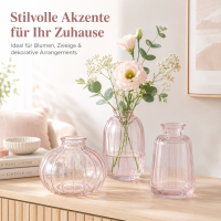 Boltze Home Vasenset Anika Rosa 3-teilig aus Glas