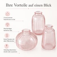 Boltze Home Vasenset Anika Rosa 3-teilig aus Glas