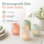 Boltze Windlicht Gladys 4er-Set Pastellfarben
