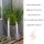 Deluxe Homeart LED Stabkerzen 2er Set Mint Minze