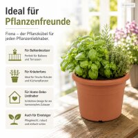 Pflanzkübel 15 cm Orange Terrakotta Kunststoff für kleine Pflanzen