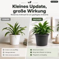 Pflanztopf Fiona Anthrazit Ø 15cm