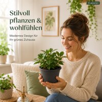 Pflanztopf Fiona Anthrazit Ø 18cm