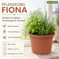 Pflanztopf Fiona Terrakotta Ø 18cm