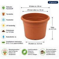 Pflanztopf Fiona Terrakotta Ø 18cm
