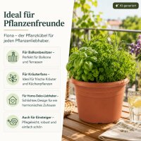 Pflanztopf Fiona Terrakotta Ø 18cm