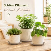 Pflanztopfuntersetzer Mira Taupe Ø 17cm