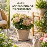 Pflanztopfuntersetzer Mira Taupe Ø 17cm
