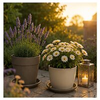 Pflanztopfuntersetzer Mira Taupe Ø 19cm