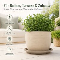 Pflanztopfuntersetzer Mira Taupe Ø 34cm