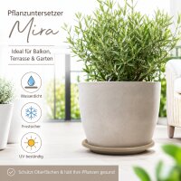 Pflanztopfuntersetzer Mira Taupe Ø 49cm