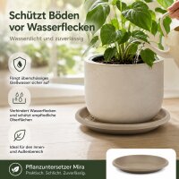 Pflanztopfuntersetzer Mira Taupe Ø 49cm