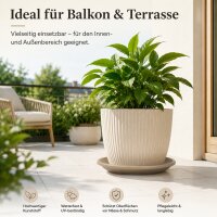 Pflanztopfuntersetzer Mira Taupe Ø 39cm