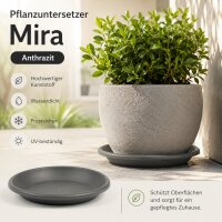 Pflanztopfuntersetzer Mira Anthrazit Ø 24cm