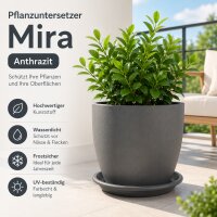 Pflanztopfuntersetzer Mira Anthrazit Ø 29cm