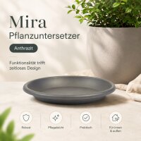 Pflanztopfuntersetzer Mira Anthrazit Ø 34cm