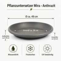 Pflanztopfuntersetzer Mira Anthrazit Ø 49cm