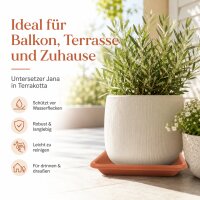 Pflanztopfuntersetzer Jana Terrakotta 20 x 20 cm