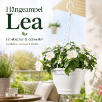 Blumentopf Hängeampel Lea Ø 25 cm