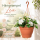 Blumentopf Hängeampel Lea Ø 25 cm