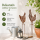Gartenstab Pollo Huhn Edelrost - 2er-SET
