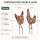 Gartenstab Pollo Huhn Edelrost - 2er-SET