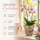 Harztopf für Orchideen – Pflanztopf in Steinoptik Vintage