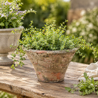 Harztopf in verwitterter Steinoptik – Dekorativer Pflanztopf für Innen & Außen