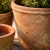 Tontöpfe 3er Set – Mediterrane Pflanzgefäße aus Terracotta für Indoor & Outdoor