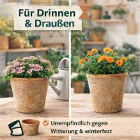 Tontöpfe 3er Set – Mediterrane Pflanzgefäße aus Terracotta für Indoor & Outdoor