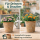 Tontöpfe 3er Set – Mediterrane Pflanzgefäße aus Terracotta für Indoor & Outdoor
