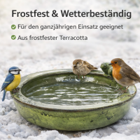 Vogeltränke rund grün – Terracotta – Wasserstelle & Badeplatz für Vögel