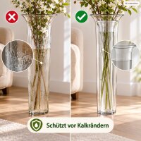 Bodenvaseneinsatz 24cm Transparent - Kunststoffeinsatz für hohe Vase