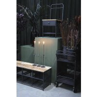 Industrial Rollwagen – Praktischer Servierwagen mit Ablagen & Rollen