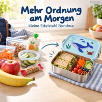 Edelstahl Lunchbox Kinder 800 ml Blau Ocean Brotdose mit Trennfach