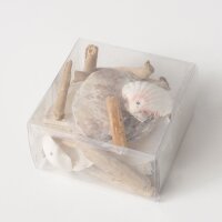 Capiz Girlande „Pervin“ – Maritime Deko aus Muscheln & Treibholz (180 cm)