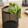Kantenhocker Frosch liegend – Dekofigur aus Polyresin für Garten & Zuhause