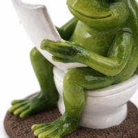 Witzige Frosch-Dekofigur auf Toilette mit Zeitung – Polyresin, 12,5 cm