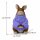 Deko Hase mit Lila Pullover – Sitzende Hasenfigur aus Kunstharz 23,5 cm