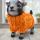 Dekofigur Ziege mit Pullover in Orange – Tierfigur aus Polyresin 16 cm