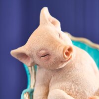 Dekofigur Schwein auf Sessel – humorvolle Tierfigur aus Polyresin 22 cm