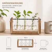 Stecklingvase mit 3 Glasvasen im Holzständer aus Paulownia-Holz