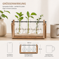 Stecklingvase mit 3 Glasvasen im Holzständer aus Paulownia-Holz