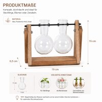 Stecklingsvase mit 2 Glasvasen und Holzgestell – Vermehrungsstation aus Glas, Holz und Eisen